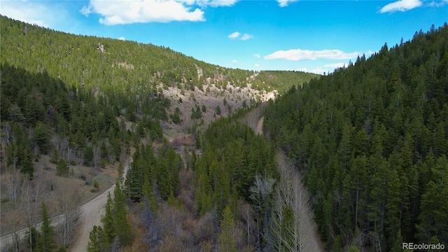 000 Trail Creek Rd, Idaho Springs, CO 80452