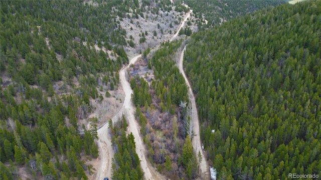 000 Trail Creek Rd, Idaho Springs, CO 80452