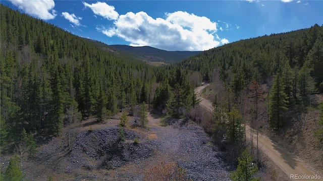 000 Trail Creek Rd, Idaho Springs, CO 80452