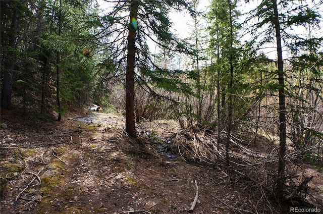 000 Trail Creek Rd, Idaho Springs, CO 80452