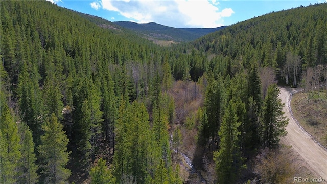 000 Trail Creek Rd, Idaho Springs, CO 80452