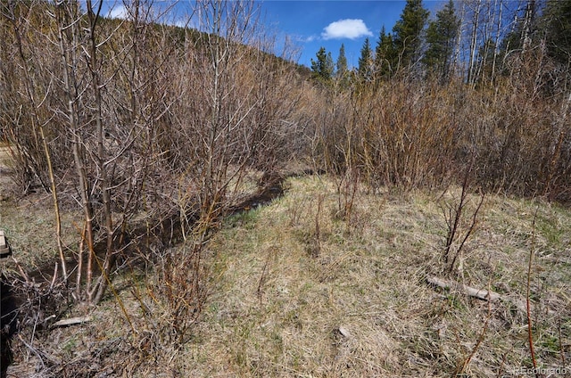 000 Trail Creek Rd, Idaho Springs, CO 80452