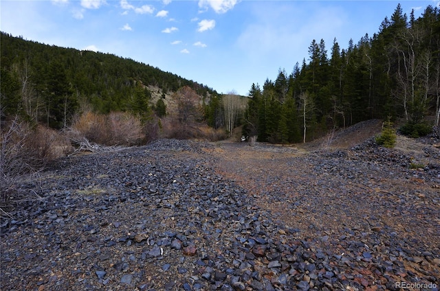 000 Trail Creek Rd, Idaho Springs, CO 80452