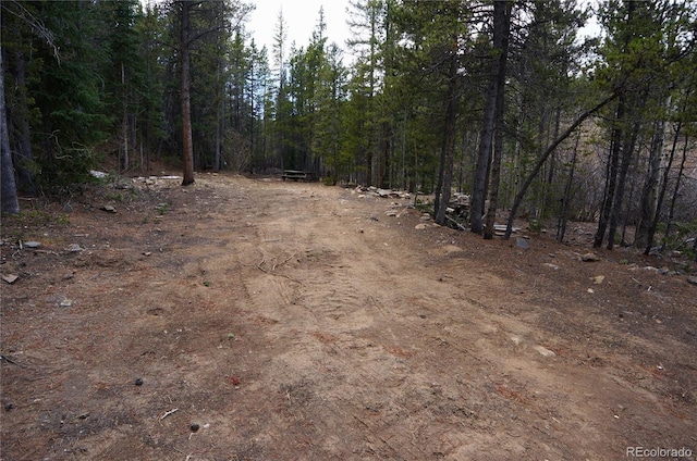 000 Trail Creek Rd, Idaho Springs, CO 80452