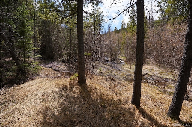000 Trail Creek Rd, Idaho Springs, CO 80452