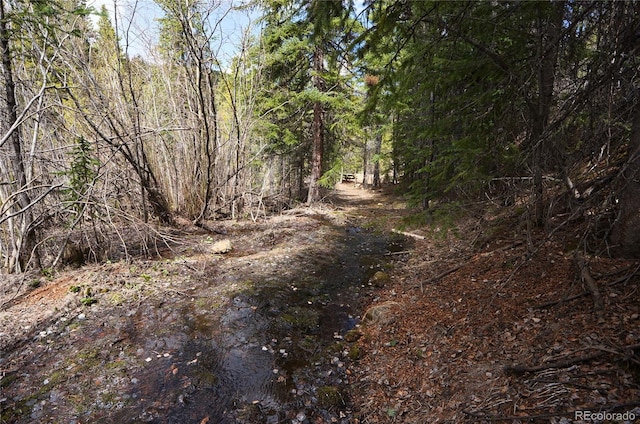 000 Trail Creek Rd, Idaho Springs, CO 80452