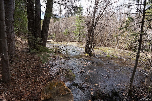 000 Trail Creek Rd, Idaho Springs, CO 80452