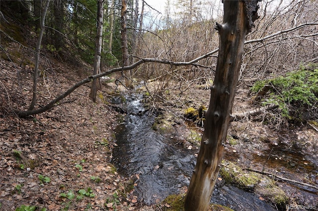 000 Trail Creek Rd, Idaho Springs, CO 80452