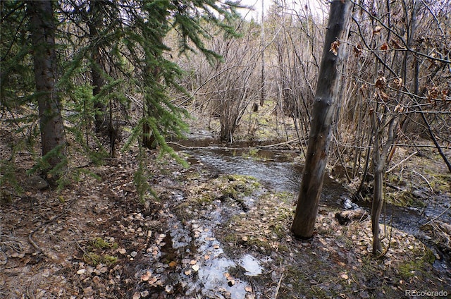 000 Trail Creek Rd, Idaho Springs, CO 80452