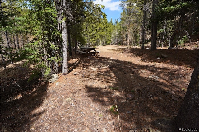 000 Trail Creek Rd, Idaho Springs, CO 80452