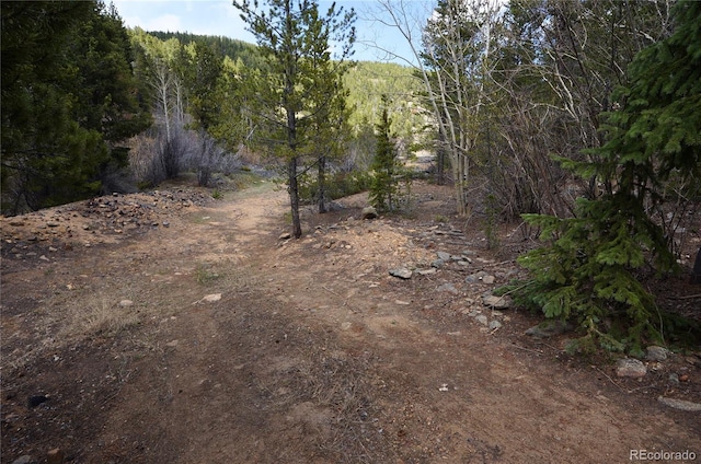 000 Trail Creek Rd, Idaho Springs, CO 80452