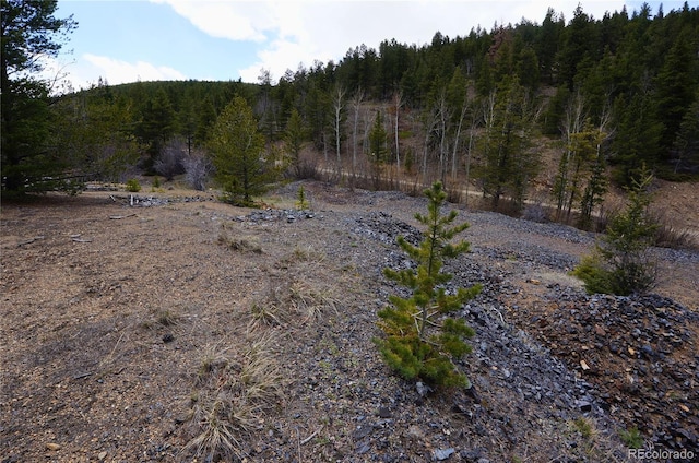 000 Trail Creek Rd, Idaho Springs, CO 80452