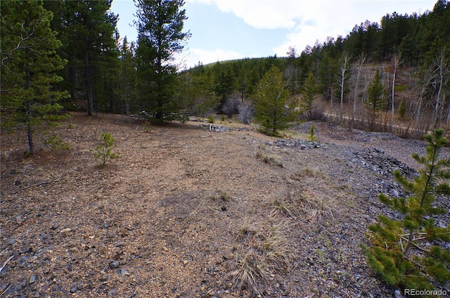 000 Trail Creek Rd, Idaho Springs, CO 80452