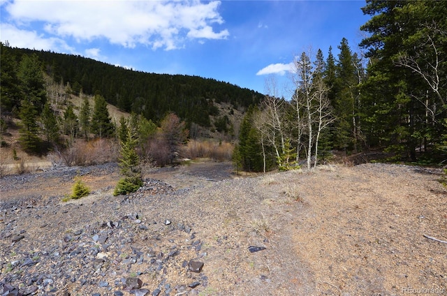 000 Trail Creek Rd, Idaho Springs, CO 80452