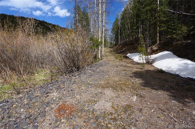 000 Trail Creek Rd, Idaho Springs, CO 80452