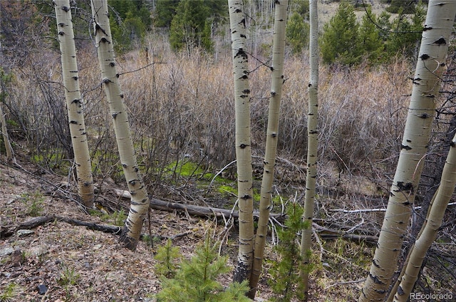 000 Trail Creek Rd, Idaho Springs, CO 80452
