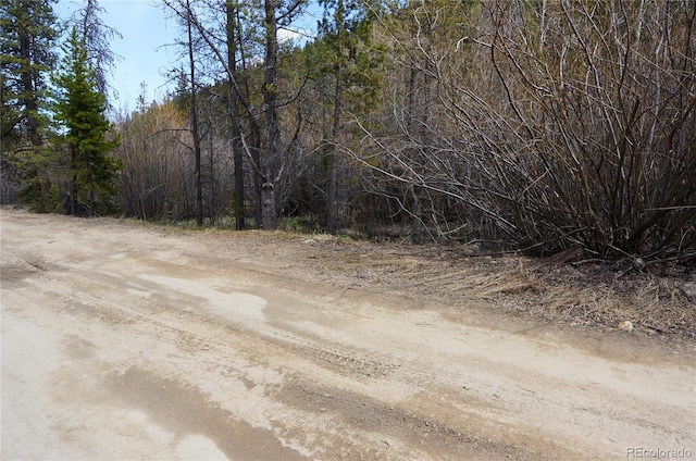 000 Trail Creek Rd, Idaho Springs, CO 80452