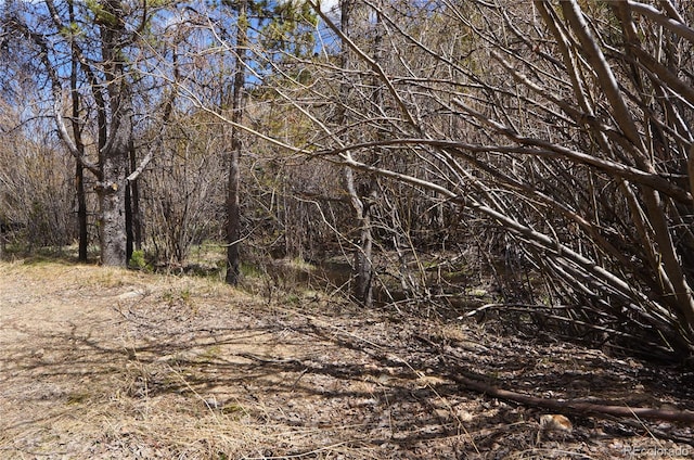 000 Trail Creek Rd, Idaho Springs, CO 80452