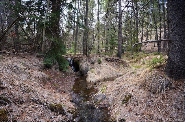 000 Trail Creek Rd, Idaho Springs, CO 80452