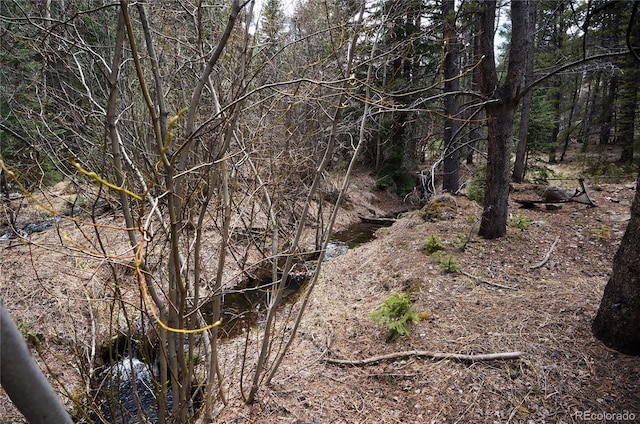 000 Trail Creek Rd, Idaho Springs, CO 80452