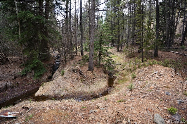 000 Trail Creek Rd, Idaho Springs, CO 80452
