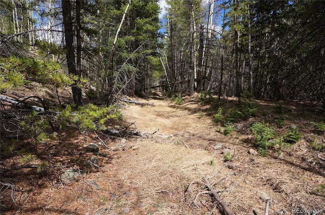000 Trail Creek Rd, Idaho Springs, CO 80452