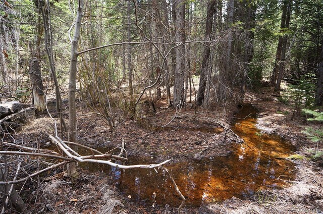 000 Trail Creek Rd, Idaho Springs, CO 80452