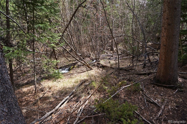 000 Trail Creek Rd, Idaho Springs, CO 80452