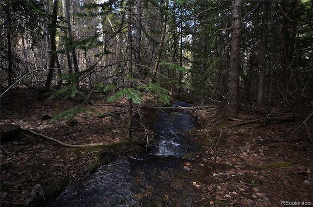 000 Trail Creek Rd, Idaho Springs, CO 80452
