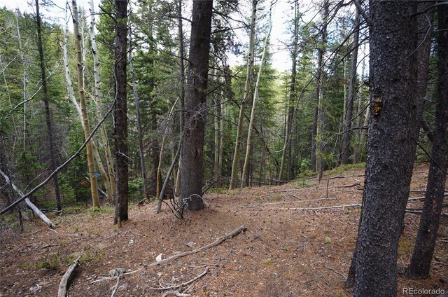 000 Trail Creek Rd, Idaho Springs, CO 80452