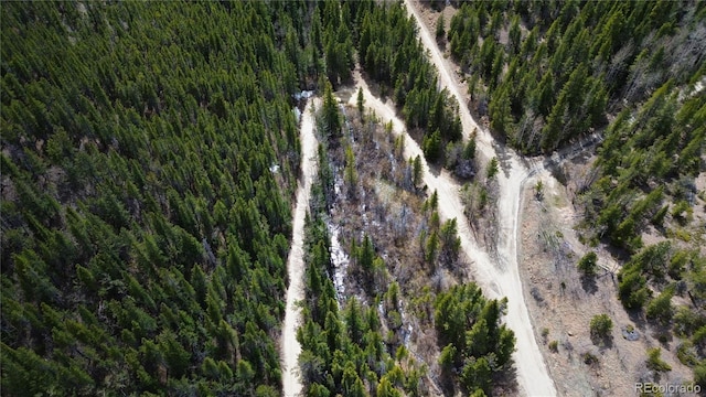 000 Trail Creek Rd, Idaho Springs, CO 80452