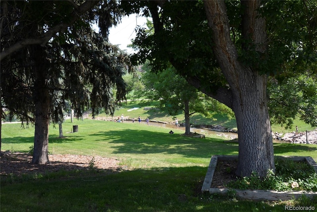 surrounding community featuring a yard