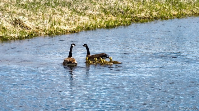 5291 County Road 76, Parlin, CO 81239 - photo 44