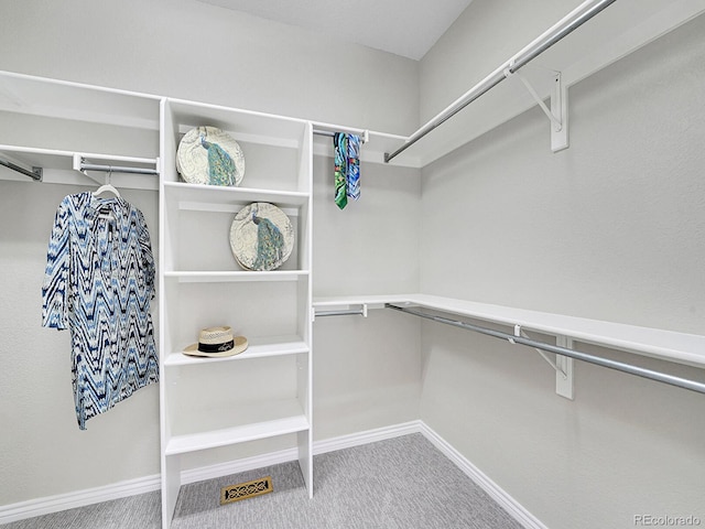 946 Champion Cir, Longmont, CO 80503 - walk in closet with carpet floors