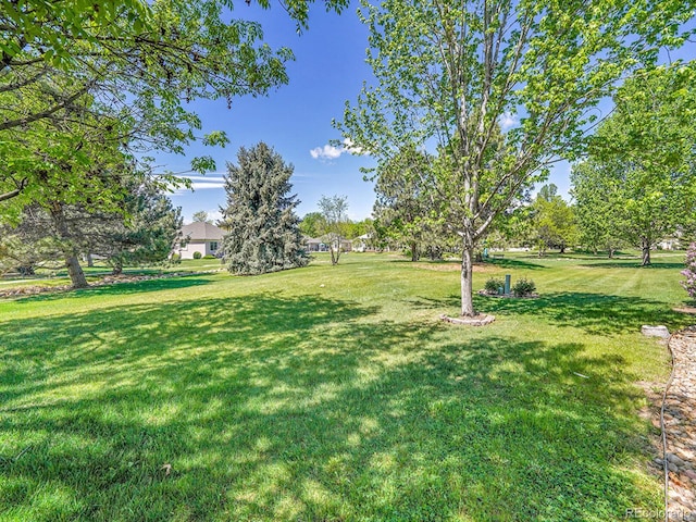 946 Champion Cir, Longmont, CO 80503 - view of grassy yard