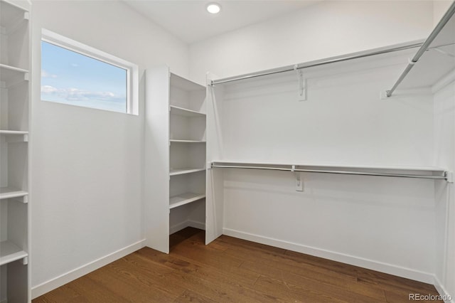 spacious closet featuring dark hardwood / wood-style flooring