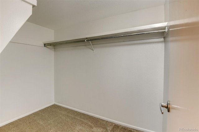 3855 S Monaco St Unit 177, Denver, CO 80237 - walk in closet with carpet