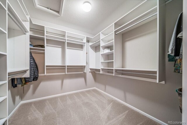 5865 Clover Ridge Cir, Castle Rock, CO 80104 - walk in closet featuring carpet flooring