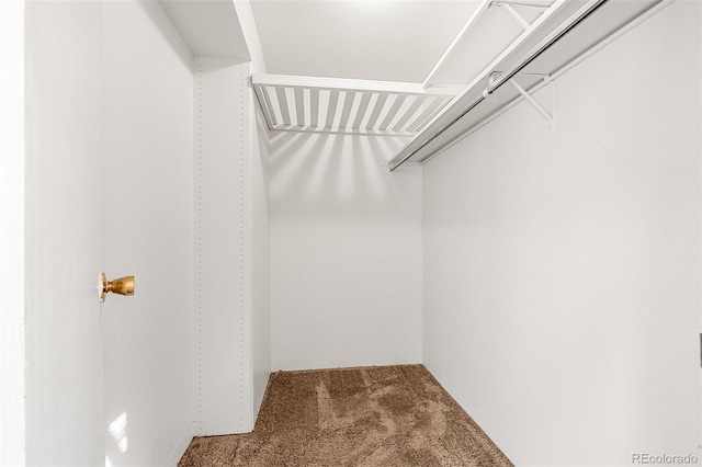 spacious closet with carpet flooring