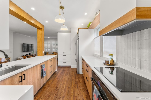 kitchen with dark wood-style flooring, pendant lighting, black electric stovetop, a sink, and modern cabinets