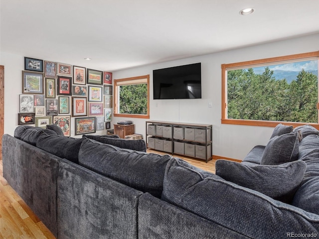 274 N Willow St, Crestone, CO 81131 - living area featuring light wood-type flooring and recessed lighting