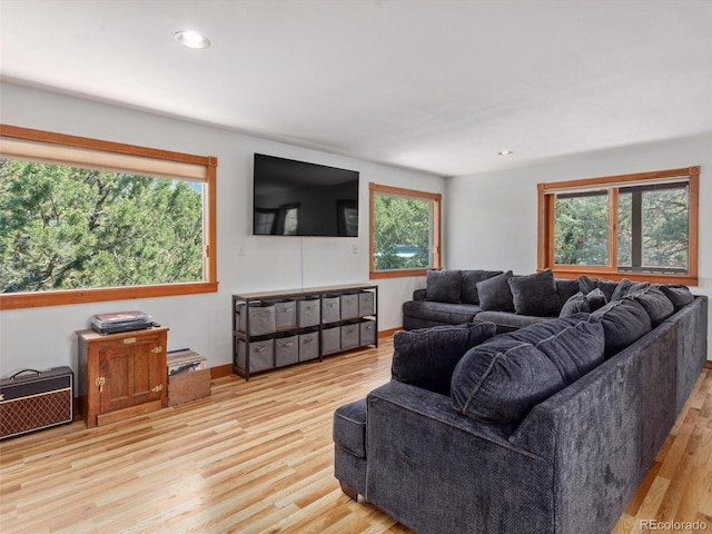 274 N Willow St, Crestone, CO 81131 - living room featuring wood finished floors and recessed lighting