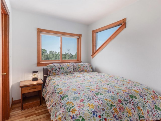 274 N Willow St, Crestone, CO 81131 - bedroom featuring multiple windows and wood finished floors
