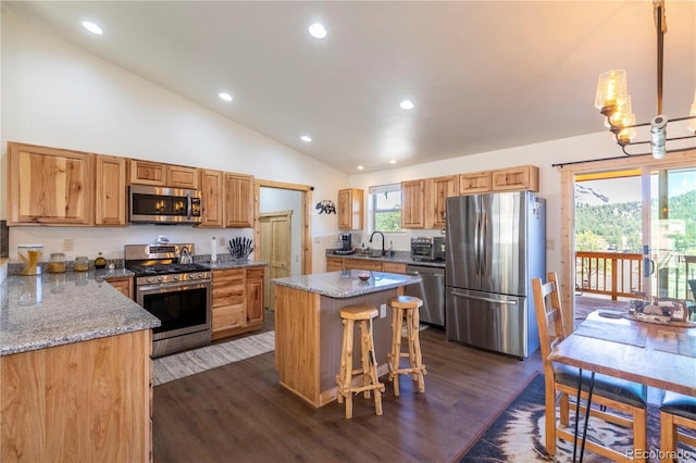 874 Hackamore Dr, Florissant, CO 80816 - kitchen featuring stainless steel appliances, dark wood-style floors, lofted ceiling, a sink, and recessed lighting