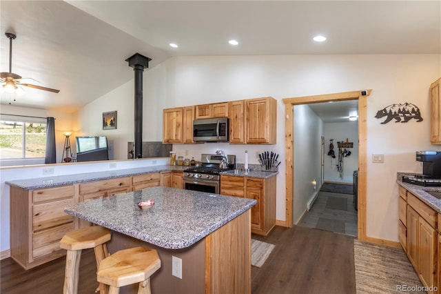 874 Hackamore Dr, Florissant, CO 80816 - kitchen with appliances with stainless steel finishes, a peninsula, light stone countertops, a ceiling fan, and recessed lighting