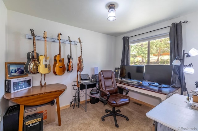 874 Hackamore Dr, Florissant, CO 80816 - office area featuring carpet flooring and baseboards
