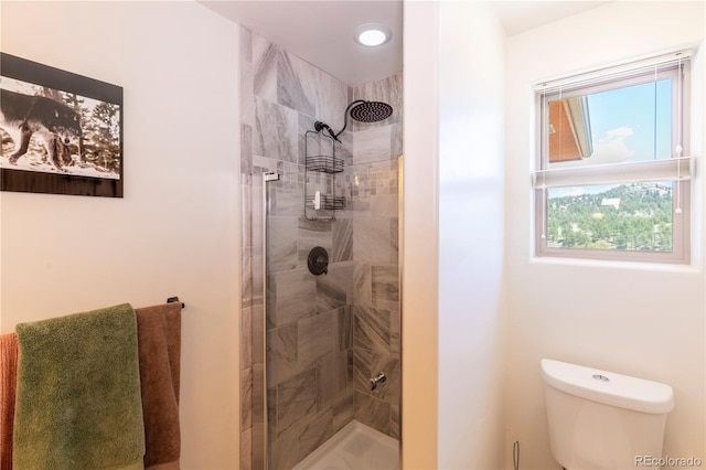 874 Hackamore Dr, Florissant, CO 80816 - bathroom featuring toilet and a tile shower