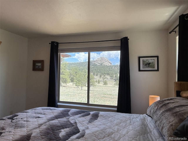 874 Hackamore Dr, Florissant, CO 80816 - view of bedroom
