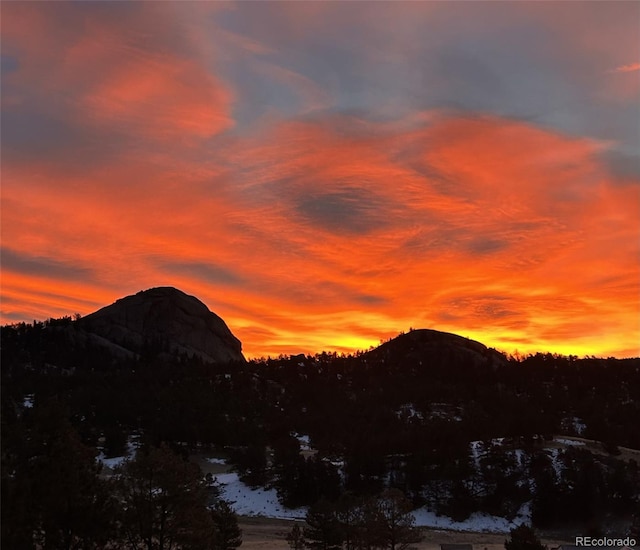 874 Hackamore Dr, Florissant, CO 80816 - mountain view