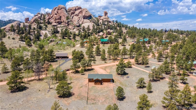 874 Hackamore Dr, Florissant, CO 80816 - view of mountain backdrop